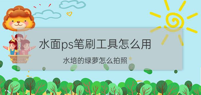 水面ps笔刷工具怎么用 水培的绿萝怎么拍照？都有哪些构图方案？